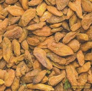 Ožerškis dygliuotasis (Goji uogos) AMBER SWEET GOJI - 4